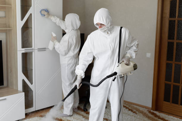 Affordable Infectious Disease Decontamination solutions in Cairo, IL