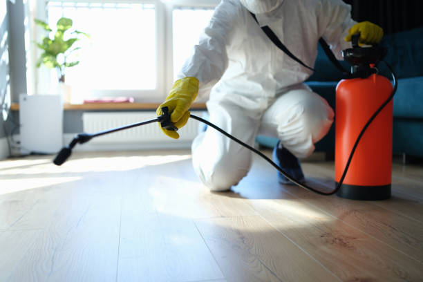 Reliable Infectious Disease Decontamination contractor in Cairo, IL by Crime Scene Cleaner Online